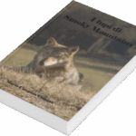 Romanzo avventura