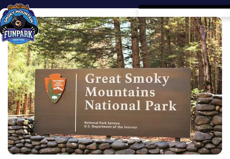 lupi smoky mountains avventura
